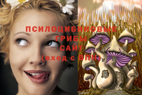 молекула духа Сатка