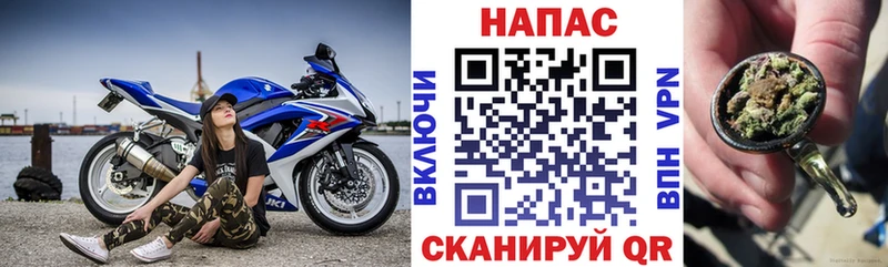 Шишки марихуана THC 21%  как найти закладки  Снежногорск 